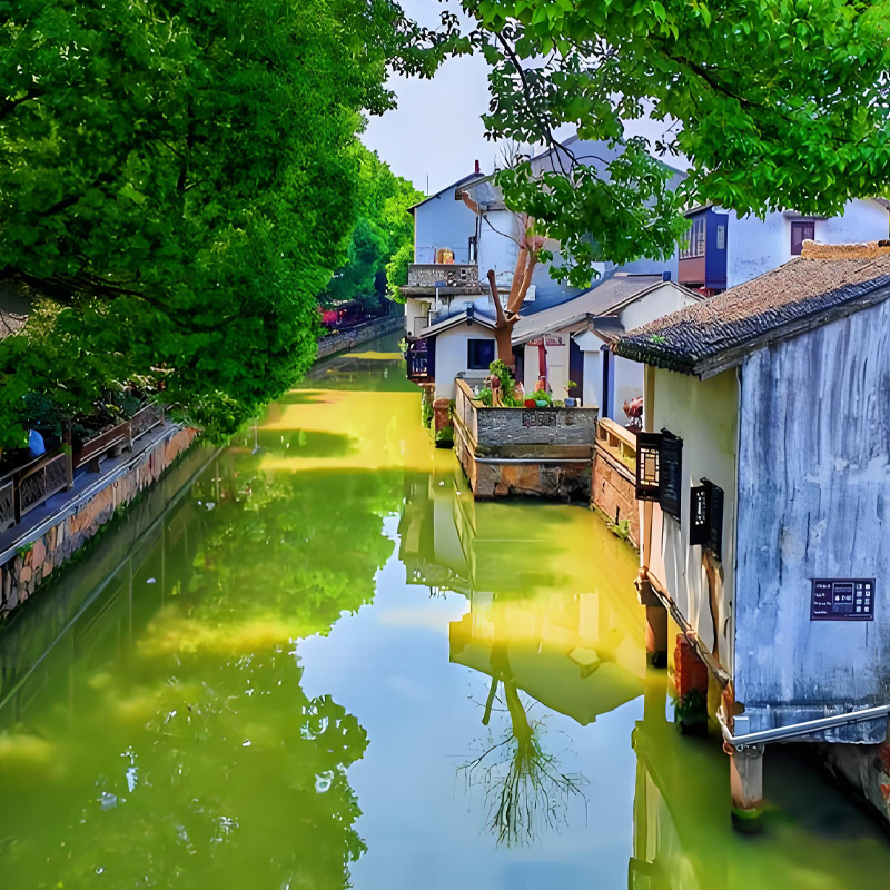 画板 1 拷贝.jpg 画板 1 拷贝.jpg