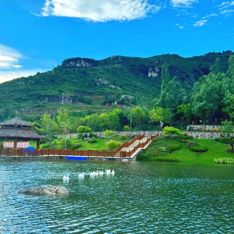 画板 1 拷贝 3-1.jpg 画板 1 拷贝 3-1.jpg