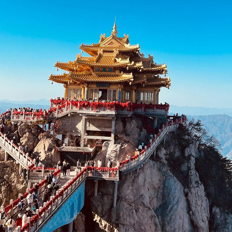 画板 1 拷贝 4.jpg 画板 1 拷贝 4.jpg