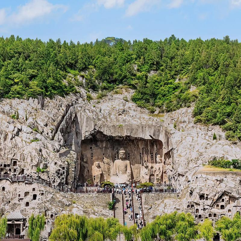 画板 1 拷贝 4-1.jpg 画板 1 拷贝 4-1.jpg