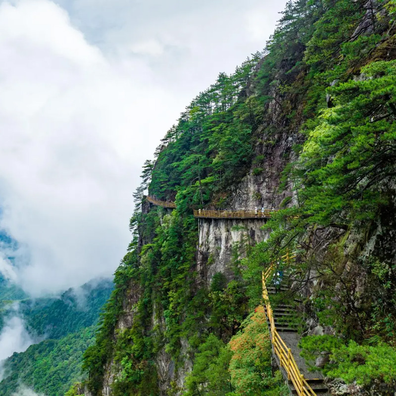 画板 1 拷贝 4.jpg 画板 1 拷贝 4.jpg