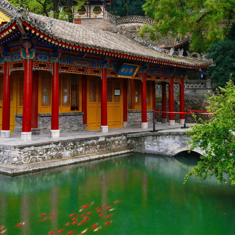 画板 1 拷贝 3.jpg 画板 1 拷贝 3.jpg