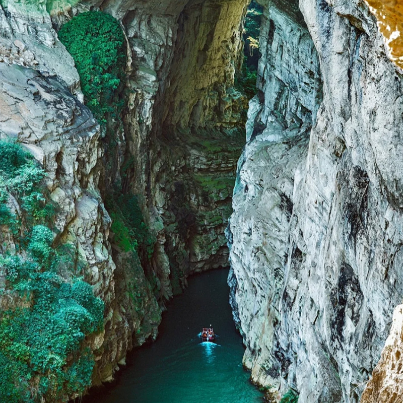 画板 1 拷贝 4.jpg