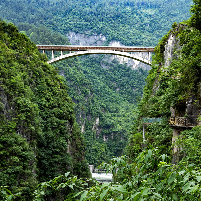 画板 1 拷贝 5.jpg