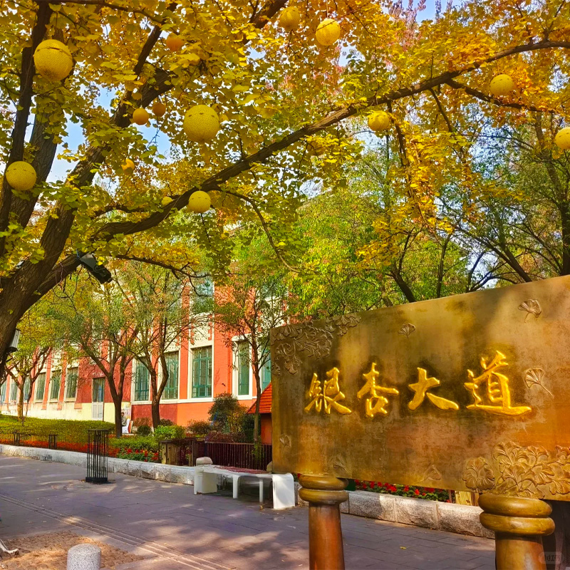 画板 1 拷贝 4.jpg 画板 1 拷贝 4.jpg