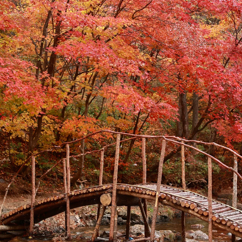 画板 1 拷贝 2.jpg 画板 1 拷贝 2.jpg