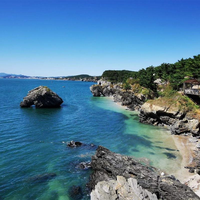 画板 1 拷贝.jpg 画板 1 拷贝.jpg