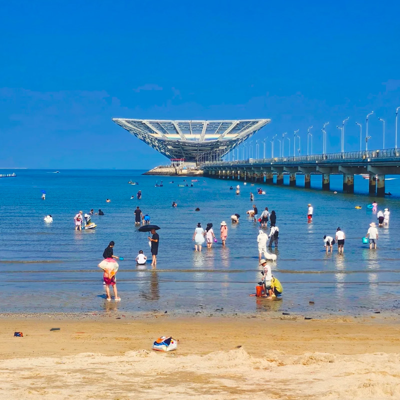 画板 1 拷贝 3.jpg 画板 1 拷贝 3.jpg