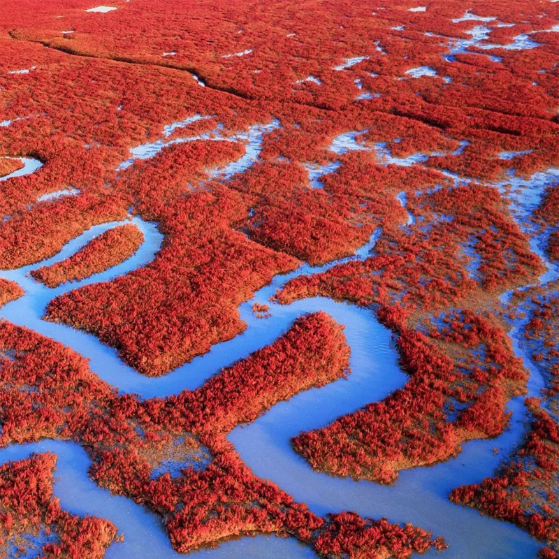 画板 1 拷贝 4.jpg 画板 1 拷贝 4.jpg