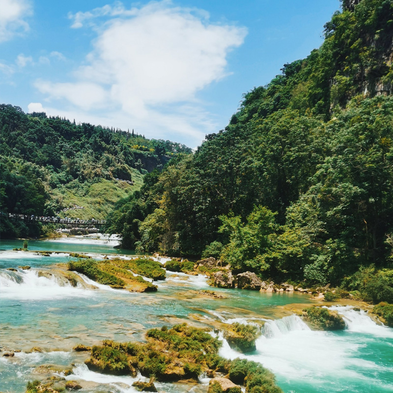 画板 1 拷贝 3.jpg