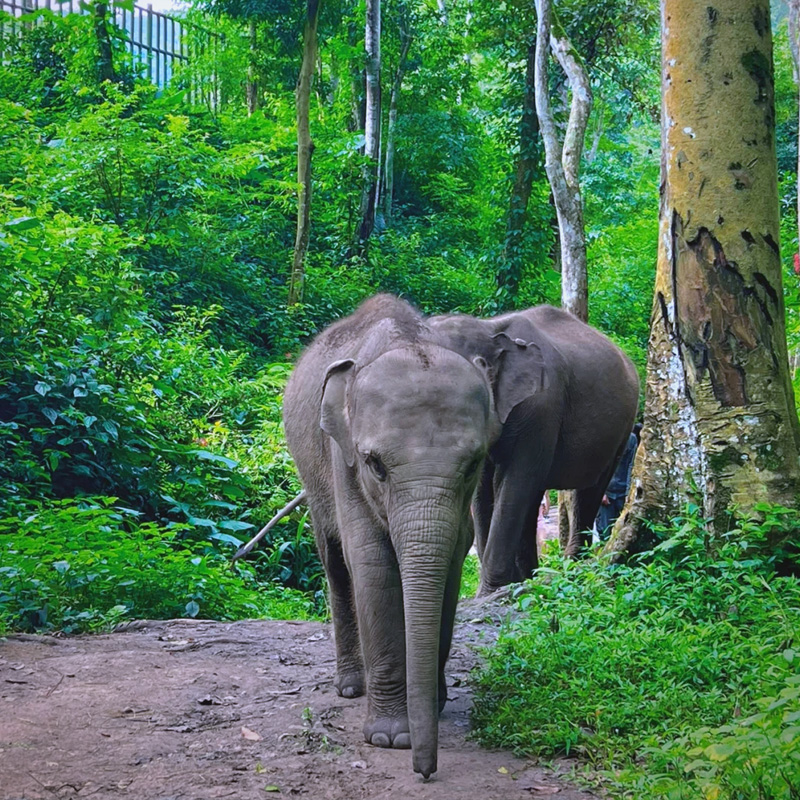 画板 1 拷贝 3.jpg