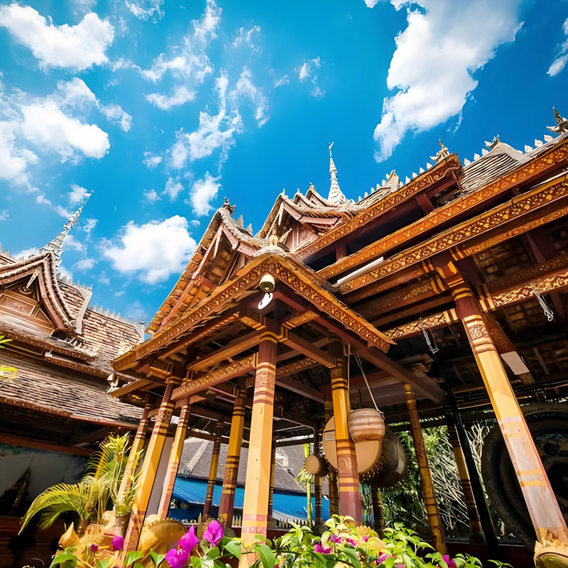 画板 1 拷贝 2.jpg