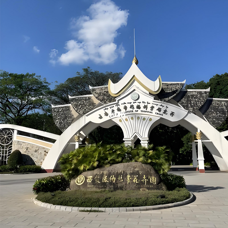 画板 1 拷贝 3-1.jpg