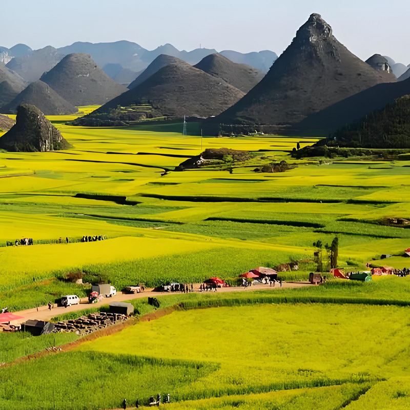 画板 1 拷贝 3-1.jpg 画板 1 拷贝 3-1.jpg