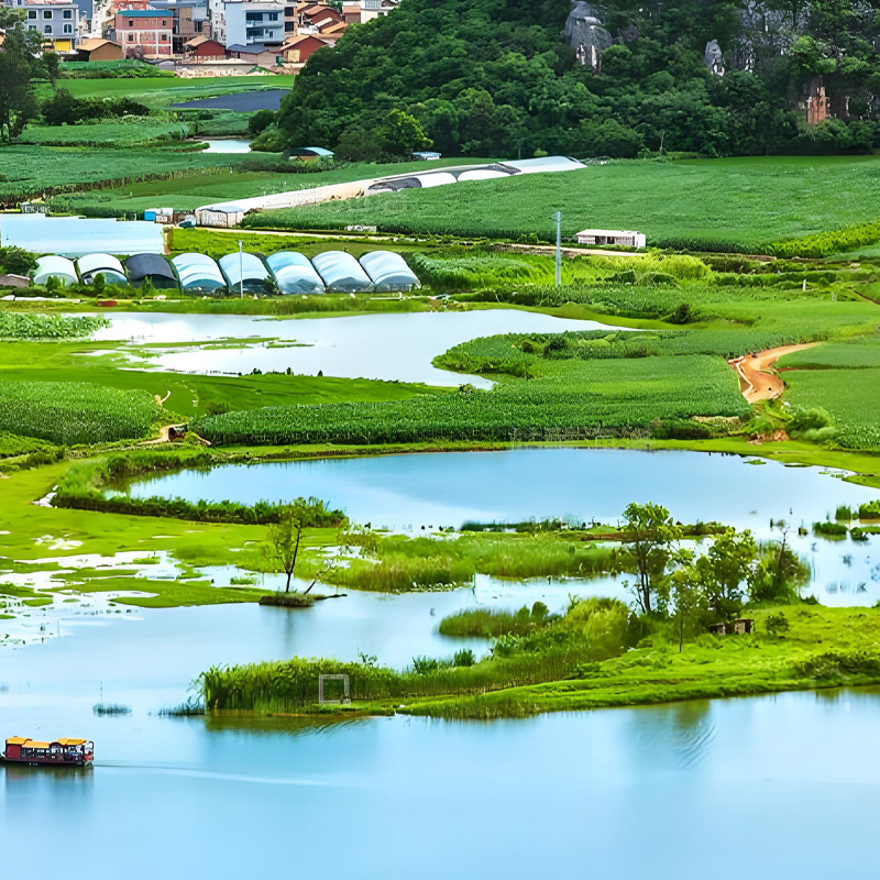 画板 1 拷贝 4.jpg 画板 1 拷贝 4.jpg