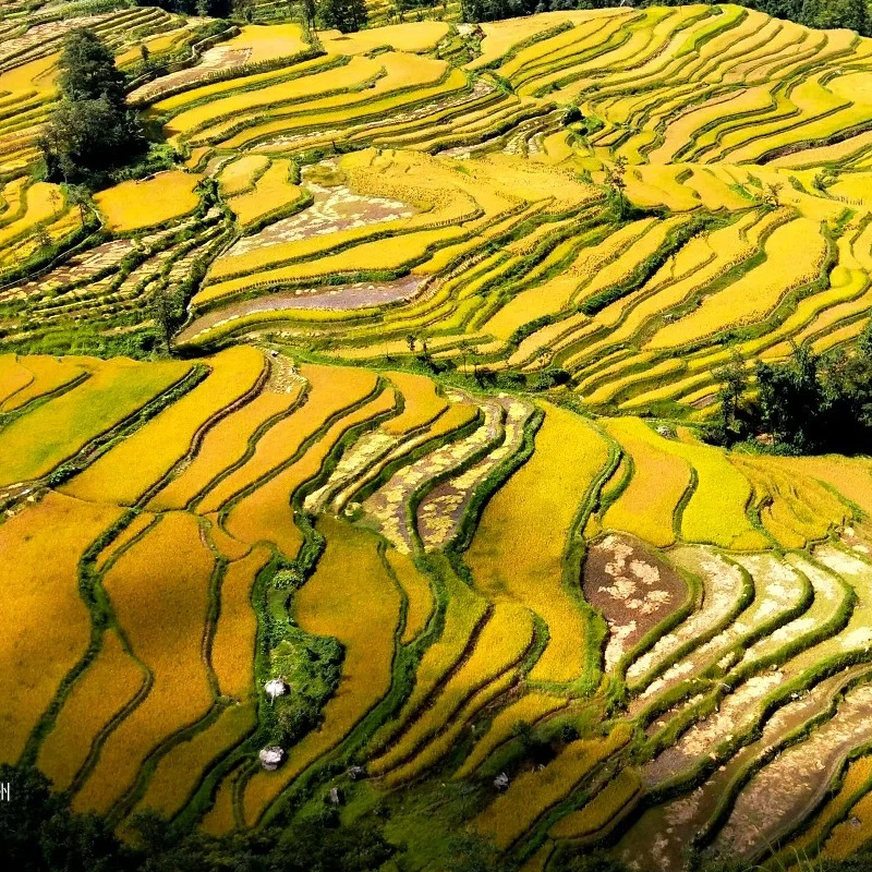 画板 1 拷贝 5.jpg 画板 1 拷贝 5.jpg