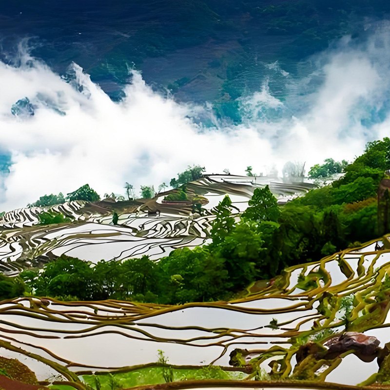 画板 1 拷贝 5-1.jpg 画板 1 拷贝 5-1.jpg