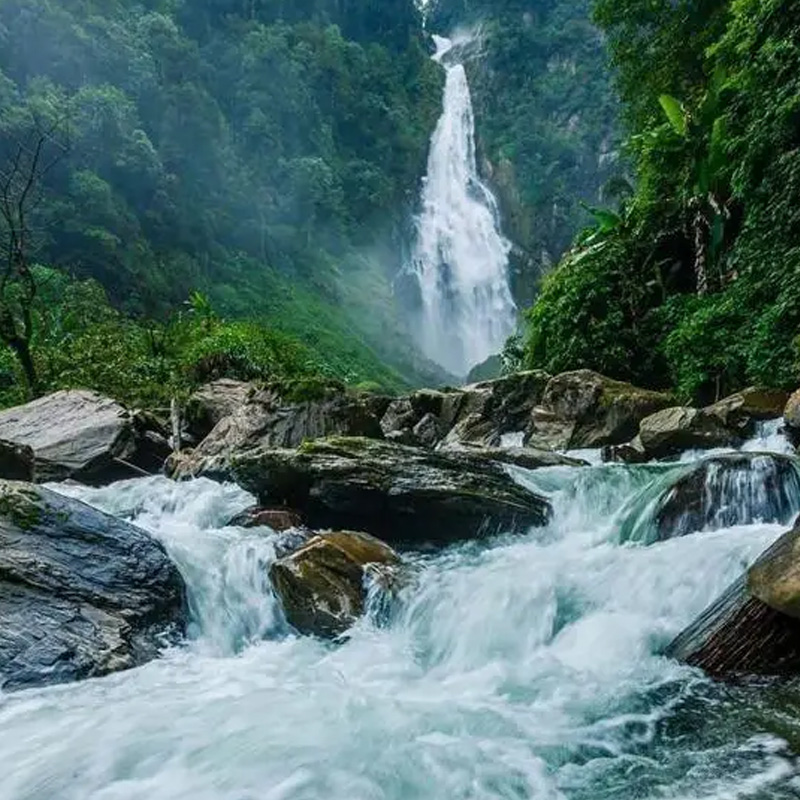 画板 1 拷贝 5-3.jpg 画板 1 拷贝 5-3.jpg