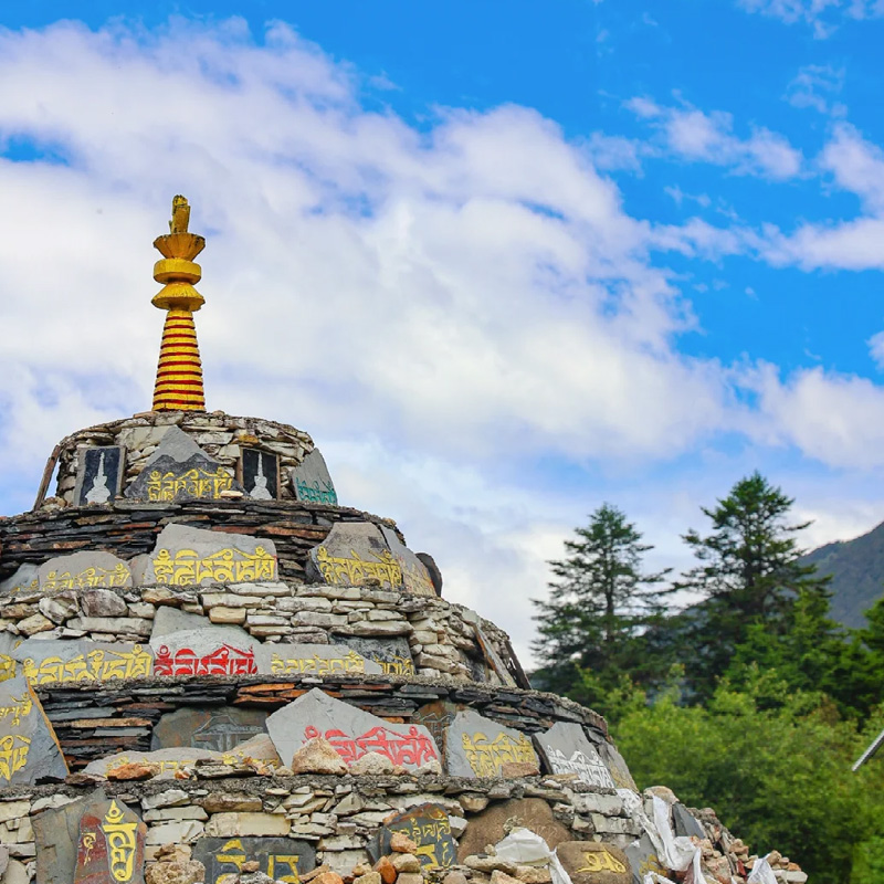 画板 1 拷贝 3.jpg