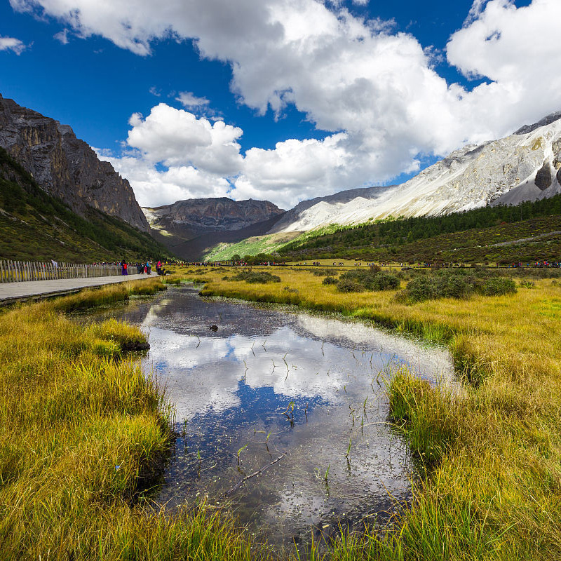 画板 1 拷贝 4.jpg