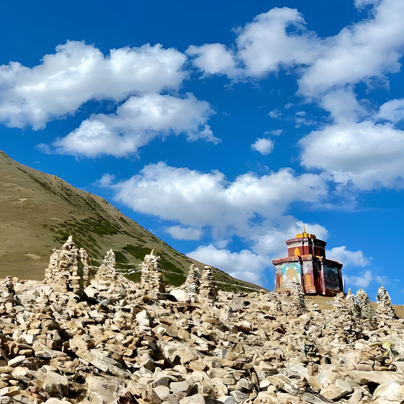 画板 1 拷贝 5-2.jpg