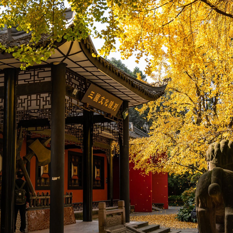 画板 1 拷贝 5-3.jpg