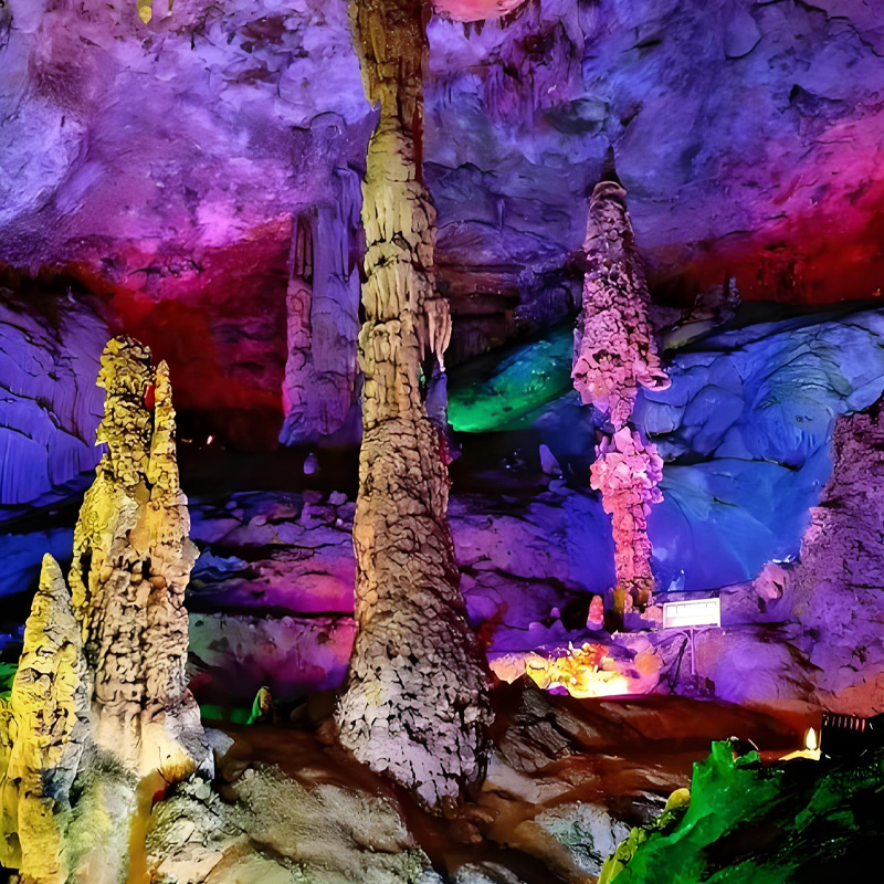 画板 1 拷贝 3.jpg