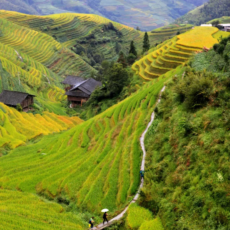 画板 1 拷贝 3-1.jpg