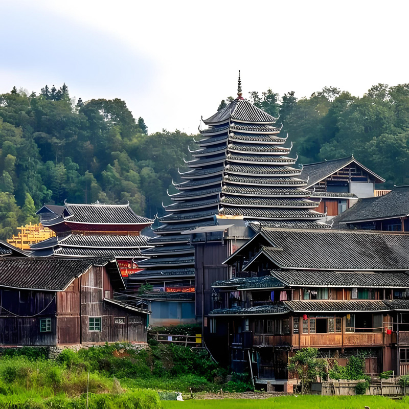 画板 1 拷贝 4.jpg