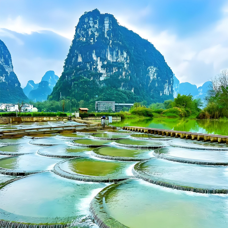 画板 1 拷贝 5-1.jpg