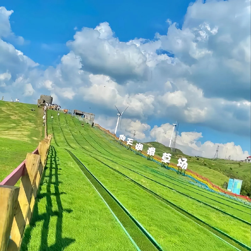 画板 1 拷贝 3-1.jpg 画板 1 拷贝 3-1.jpg