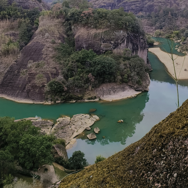 画板 1 拷贝 6.jpg