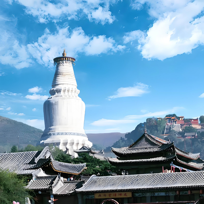 画板 1 拷贝 3.jpg