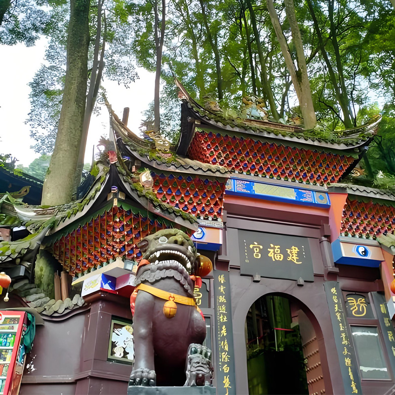 画板 1 拷贝 5.jpg 画板 1 拷贝 5.jpg