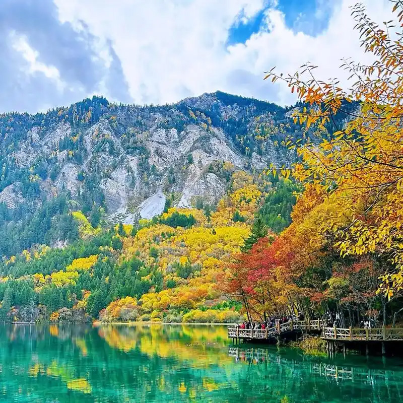 画板 1 拷贝 3-1.jpg 画板 1 拷贝 3-1.jpg