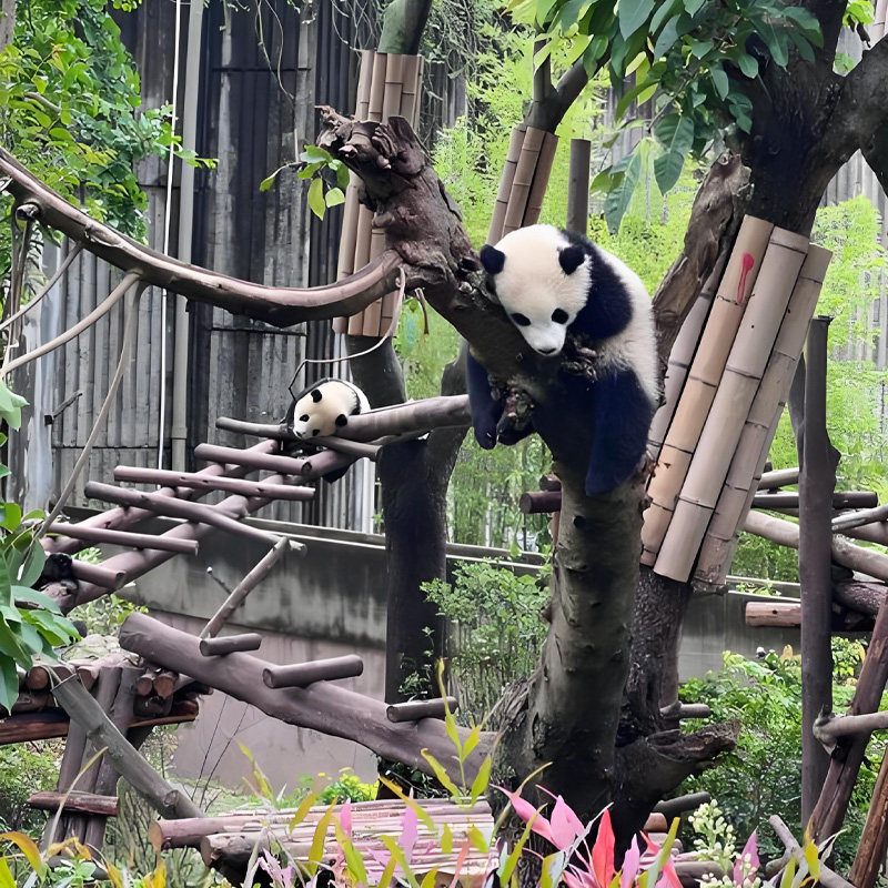 画板 1 拷贝 3.jpg 画板 1 拷贝 3.jpg