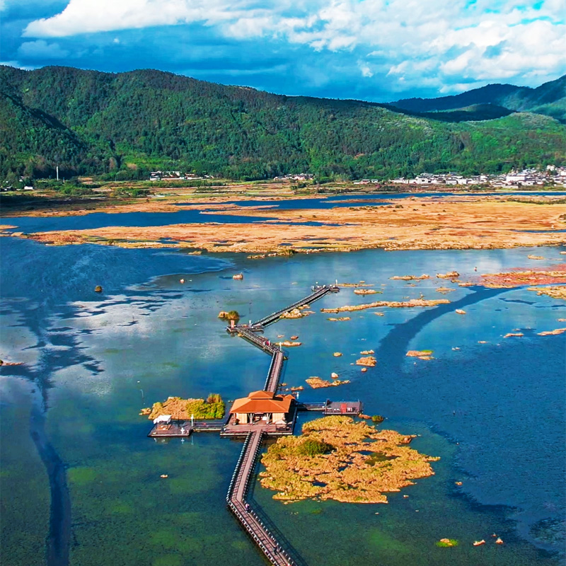 画板 1 拷贝 4.jpg