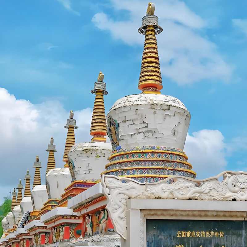 画板 1 拷贝 3.jpg 画板 1 拷贝 3.jpg