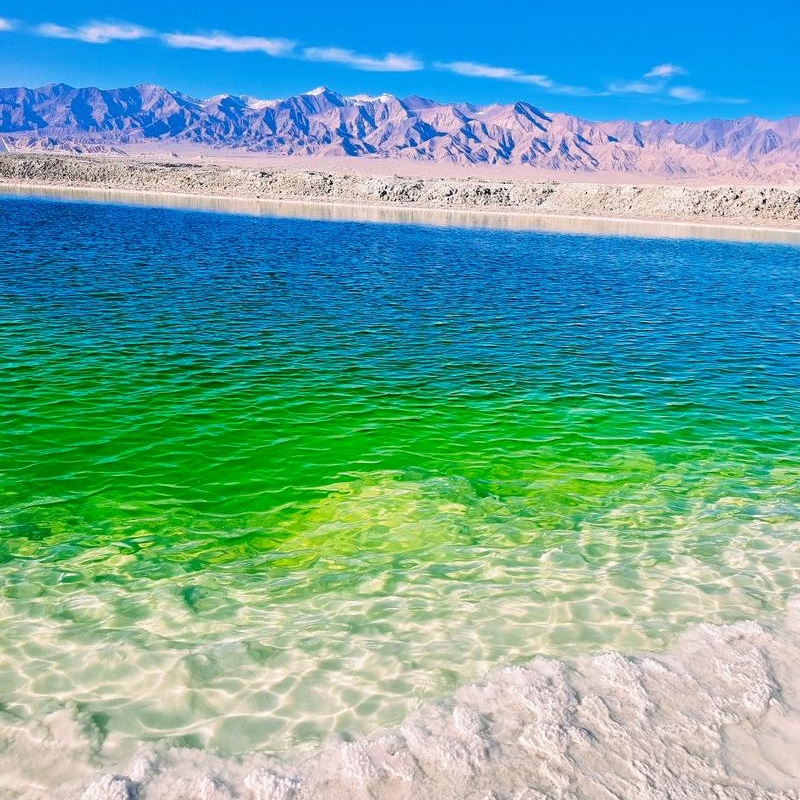 画板 1 拷贝 4.jpg 画板 1 拷贝 4.jpg