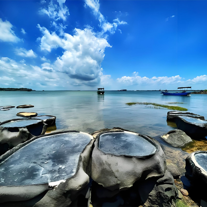 画板 1 拷贝 5-1.jpg