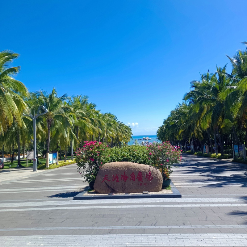 画板 1 拷贝 4.jpg