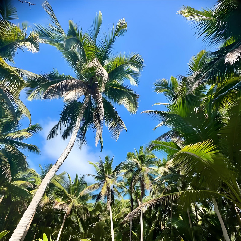 画板 1 拷贝 2.jpg