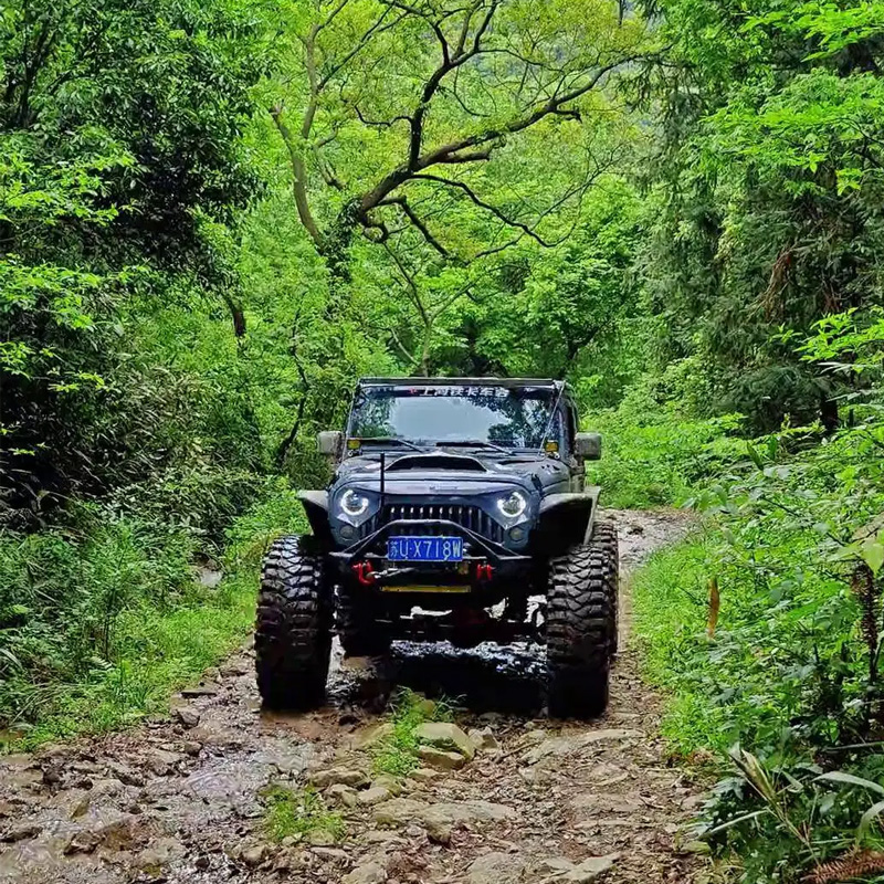 画板 1 拷贝 3-1.jpg 画板 1 拷贝 3-1.jpg