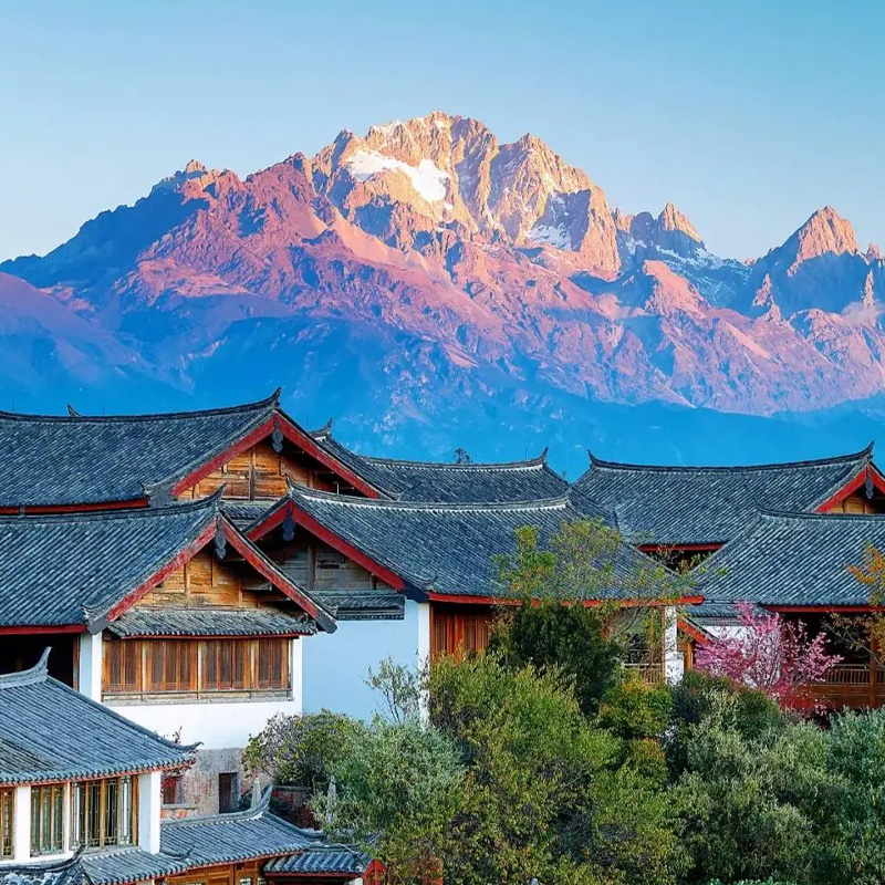 画板 1 拷贝 4.jpg 画板 1 拷贝 4.jpg