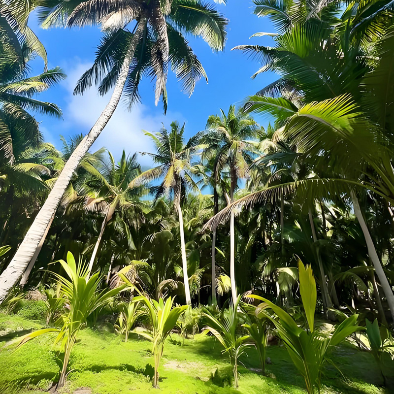 画板 1 拷贝 2.jpg 画板 1 拷贝 2.jpg