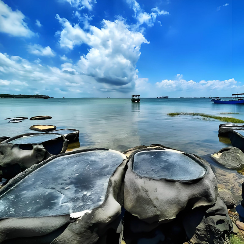 画板 1 拷贝 4-1.jpg 画板 1 拷贝 4-1.jpg