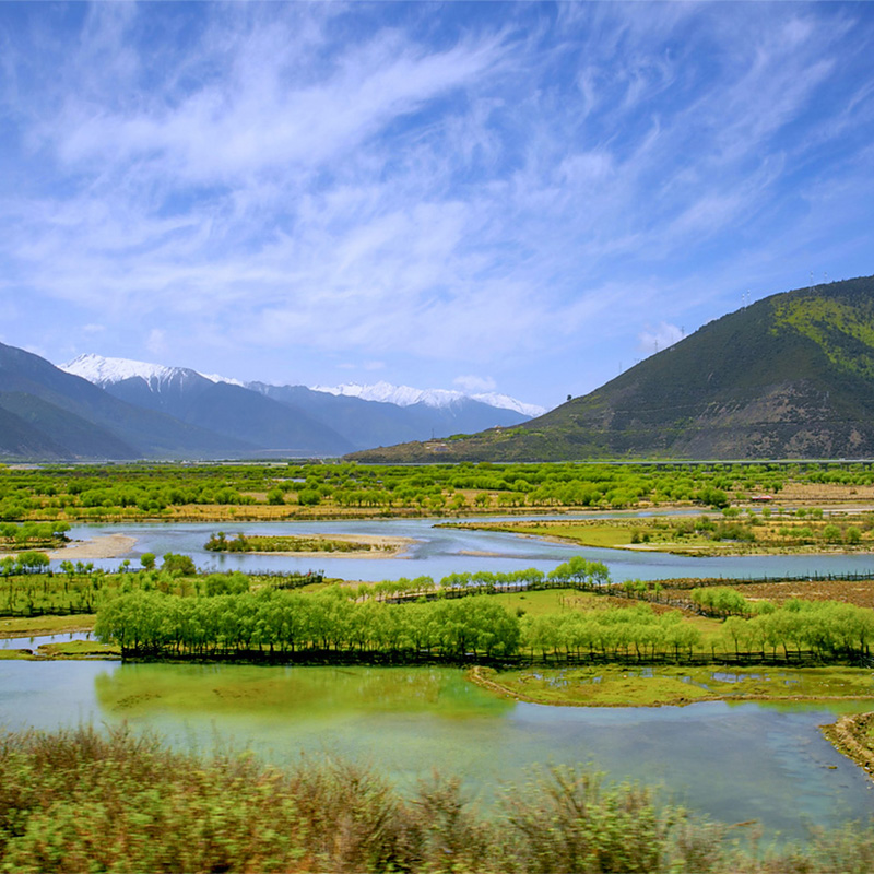 画板 1 拷贝 2.jpg 画板 1 拷贝 2.jpg