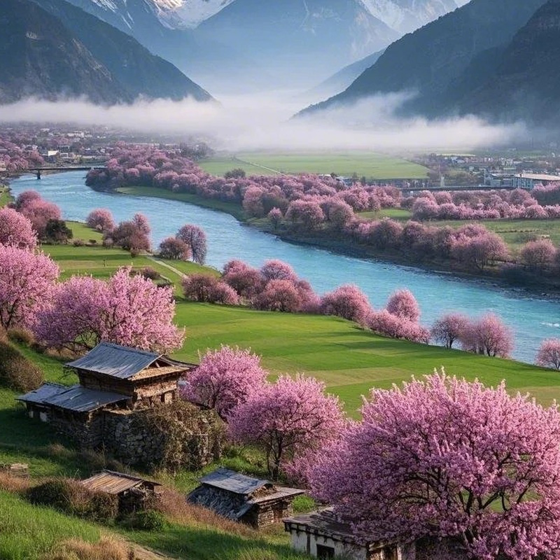 画板 1 拷贝 3.jpg 画板 1 拷贝 3.jpg