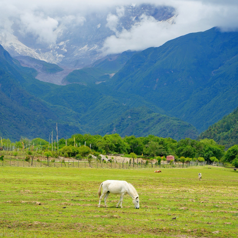 画板 1 拷贝 3-1.jpg 画板 1 拷贝 3-1.jpg