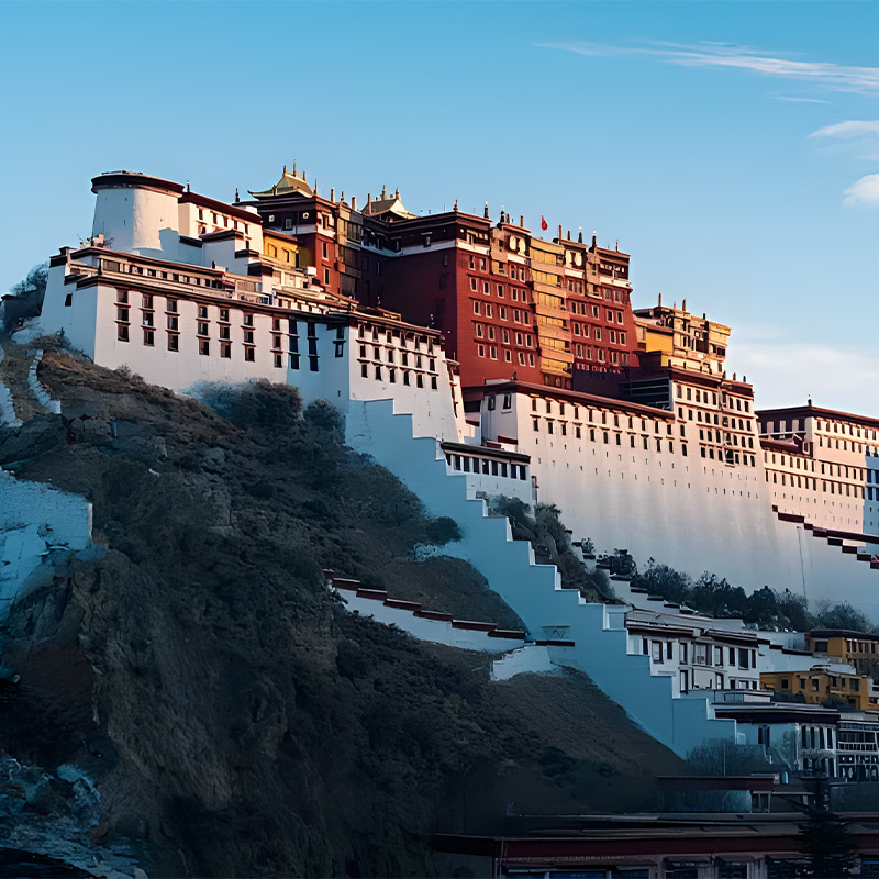 画板 1 拷贝 4-1.jpg 画板 1 拷贝 4-1.jpg